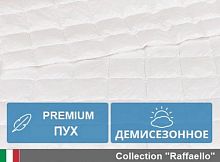 Одеяло пуховое 140х205 полуторное MirSon Rafaello Демисезонное кассетное Premium Class 051/140205 - 2200000003911
